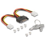 DeLOCK Marco extraíble de 3,5″ para 2 x M.2 NVMe SSD, Bastidor de instalación 