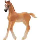 Schleich HORSE CLUB 13984 figura de juguete para niños, Muñecos 5 año(s), Marrón, Plástico