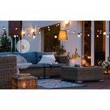 Shelly BUSHWB2, Conjunto 