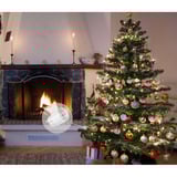 Shelly BUSHWB2, Conjunto 