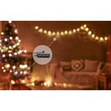 Shelly BUSHWB2, Conjunto 