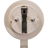 Shelly BUSHWB2, Conjunto 