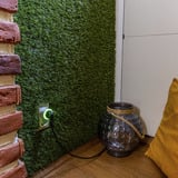 Shelly Paquete navideño 2, Conjunto 