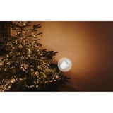 Shelly Paquete navideño 2, Conjunto 