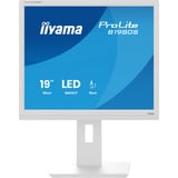 iiyama B1980S-W1, Monitor LED blanco (mate)