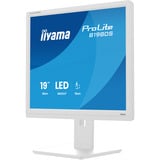 iiyama B1980S-W1, Monitor LED blanco (mate)