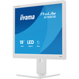 iiyama ProLite B1980S-W1 pantalla para PC 48,3 cm (19") 1280 x 1024 Pixeles SVGA LED Blanco, Monitor LED blanco (mate), 48,3 cm (19"), 1280 x 1024 Pixeles, SVGA, LED, 3 ms, Blanco