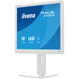 iiyama ProLite B1980S-W1 pantalla para PC 48,3 cm (19") 1280 x 1024 Pixeles SVGA LED Blanco, Monitor LED blanco (mate), 48,3 cm (19"), 1280 x 1024 Pixeles, SVGA, LED, 3 ms, Blanco