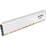 ADATA LANCER BLADE DDR5 módulo de memoria 16 GB 1 x 16 GB ECC, Memoria RAM blanco, 16 GB, 1 x 16 GB, DDR5, 6000 MHz, 288-pin DIMM