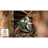 Bosch EasyChain 18V-15-7 Negro, Verde, Motosierra verde/Negro, 13 cm, 15 cm, 6,95 m/s, 1,1 mm, Negro, Verde, Batería