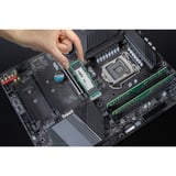 Crucial CT1000E100SSD8, Unidad de estado sólido 