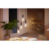 Philips Hue Hue White Ambiance E27 Filament Lámpara E27 Globo 550 lm, Lámpara LED 