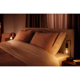 Philips Hue Hue White Ambiance E27 Filament Lámpara E27 Globo 550 lm, Lámpara LED 