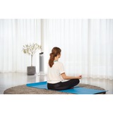 Rowenta Silent Comfort 3-in-1 HQ8120F0 calefactor eléctrico Interior Plata 2400 W Ventilador eléctrico, Termoventiladores blanco, Ventilador eléctrico, China, 1,9 m, IP20, Interior, Piso