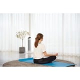 Rowenta Silent Comfort 3-in-1 HQ8120 Interior Plata 2400 W Ventilador eléctrico, Termoventiladores blanco, Ventilador eléctrico, 1,9 m, IP20, Interior, Piso, Plata