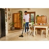 Ryobi RSV18BL-0, Aspirador vertical verde