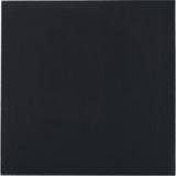 Thermal Grizzly Minus Pad Advance - 100x100x0,5 mm, Almohadillas térmicas 