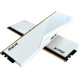 ADATA LANCER módulo de memoria 64 GB 2 x 32 GB DDR5 288-pin DIMM ECC, Memoria RAM blanco, 64 GB, 2 x 32 GB, DDR5, 6000 MHz, 288-pin DIMM, Blanco