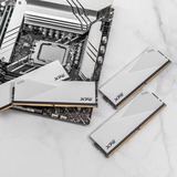 ADATA LANCER módulo de memoria 64 GB 2 x 32 GB DDR5 288-pin DIMM ECC, Memoria RAM blanco, 64 GB, 2 x 32 GB, DDR5, 6000 MHz, 288-pin DIMM, Blanco