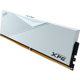 ADATA LANCER módulo de memoria 64 GB 2 x 32 GB DDR5 ECC, Memoria RAM blanco, 64 GB, 2 x 32 GB, DDR5, 6000 MHz, 288-pin DIMM, Blanco