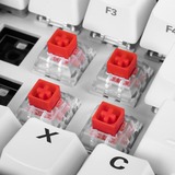 Sharkoon Kailh Box Red Switch-Set, Interruptor de botón rojo/Transparente