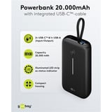 goobay 76252, Banco de potencia negro