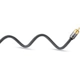 goobay Cable Mono Cinch Plus negro/Plateado