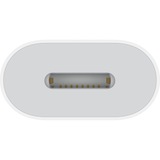 Apple Adaptador USB, conector USB-C > conector Lightning blanco