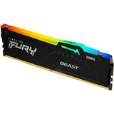Kingston FURY FURY Beast 32 GB 5600 MT/s DDR5 CL36 DIMM RGB EXPO, Memoria RAM negro, 32 GB, 1 x 32 GB, DDR5, 288-pin DIMM
