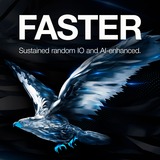 Seagate SkyHawk disco duro interno 2 TB 256 MB 3.5" Serial ATA III, Unidad de disco duro 2 TB, 256 MB, 3.5", Serial ATA III