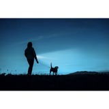 Ansmann Daily Use 150B, Linterna plateado/Negro