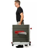 EINHELL Sierra circular de mesa profesional TP-CC 10 T rojo/Negro