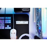 Kingston FURY FURY Beast 64GB 5200MT/s DDR5 CL40 DIMM (Kit de 2) White XMP, Memoria RAM blanco, 64 GB, 2 x 32 GB, DDR5, 288-pin DIMM