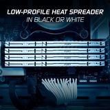 Kingston FURY FURY Beast 64GB 5200MT/s DDR5 CL40 DIMM (Kit de 2) White XMP, Memoria RAM blanco, 64 GB, 2 x 32 GB, DDR5, 288-pin DIMM