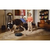 Roborock Qrevo MaxV 0,33 L Negro, Robot aspirador negro, Sin bolsa, Negro, Alrededor, Bolsa para el polvo, 0,33 L, Carga, Purification