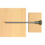 fischer Tornillo de ajuste FAFS 5,0 x 120 TX25 