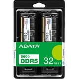 ADATA AD5U560032G-DT módulo de memoria 64 GB 2 x 32 GB DDR5 288-pin DIMM, Memoria RAM negro, 64 GB, 2 x 32 GB, DDR5, 5600 MHz, 288-pin DIMM