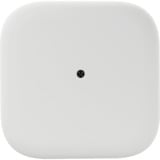 Fairphone Fairbuds, Auriculares blanco