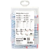 fischer Meister-Box DuoHM tacos para cavidades + tornillo de cabeza avellanada TX, Pasador 