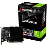 Biostar GeForce GT 730, Tarjeta gráfica 