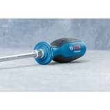 Bosch 1 600 A01 6BF destornillador manual Juego azul/Negro