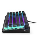 ENDORFY EY5D019, Teclado para gaming negro