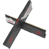 Patriot DIMM 16 GB DDR5-6000 (2x 8 GB) Kit dual, Memoria RAM negro