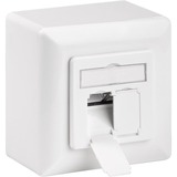 CAT 6 D Universal caja de tomacorriente, Caja de conexiones