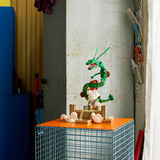 LEGO Pokémon Rayquaza, Juegos de construcción 