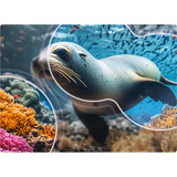 LG 75NU800B6LA.AEEQ, Televisor LED negro