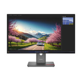 Lenovo P32UD-40(C25315UP0), Monitor LED negro