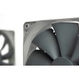 Noctua NF-P14S REDUX-1500 PWM sistema de refrigeración para ordenador Carcasa del ordenador Ventilador 14 cm Gris Ventilador, 14 cm, 450 RPM, 1500 RPM, 25,8 dB, 133,7 m³/h