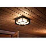 Philips White & Color Ambiance Econic Outdoor aplique de pared cuadrado, Luz de LED negro