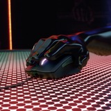 CHERRY MC 2.1 ratón Juego mano derecha USB tipo A 5000 DPI, Ratones para gaming negro, mano derecha, USB tipo A, 5000 DPI, Negro